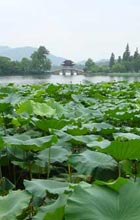Image of West Lake